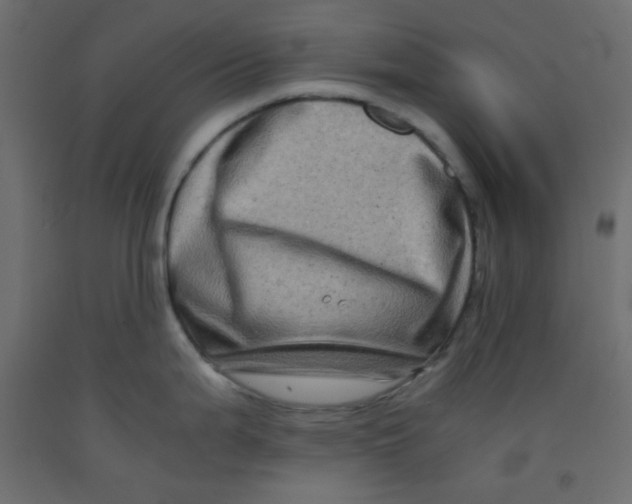 X0000092291199200710121427