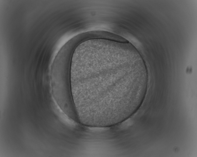 X0000092291200200710121427