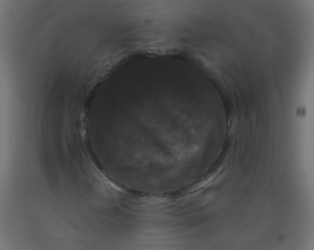 X0000092291202200710121427