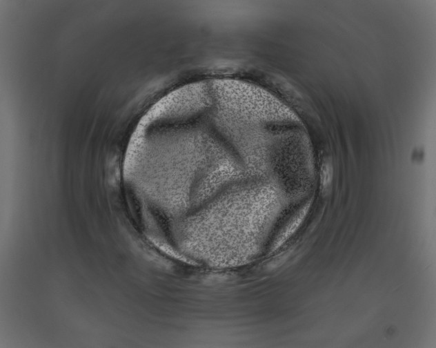 X0000092291204200710121427