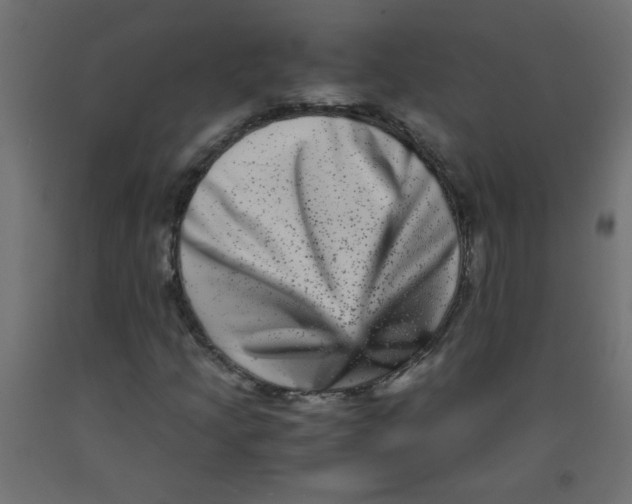 X0000092291205200710121427