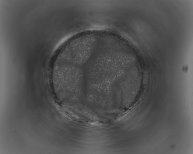 X0000092291208200710121427