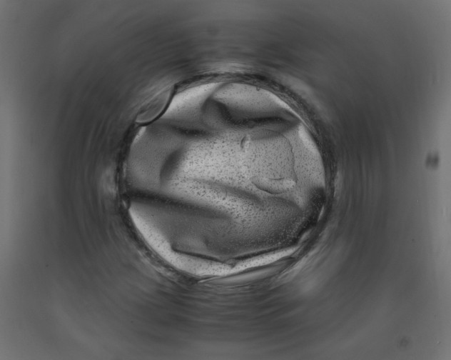 X0000092291209200710121427