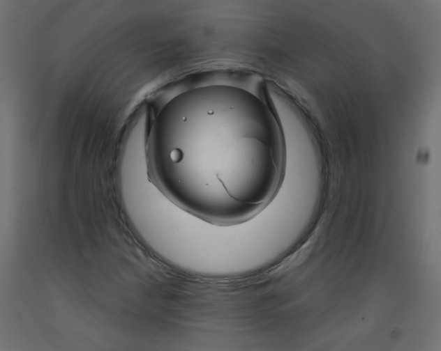 X0000092291210200710121427