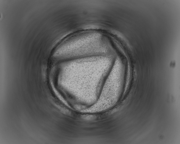 X0000092291217200710121427