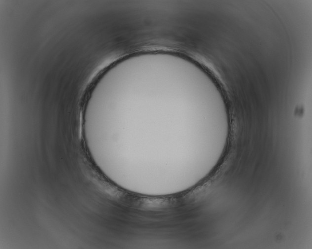 X0000092291219200710121427