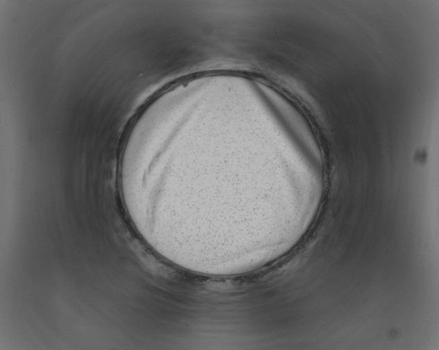 X0000092291220200710121427