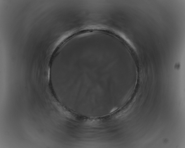 X0000092291221200710121427