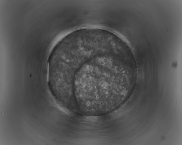 X0000092291223200710121427