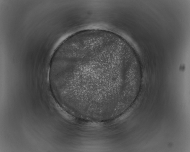 X0000092291224200710121427