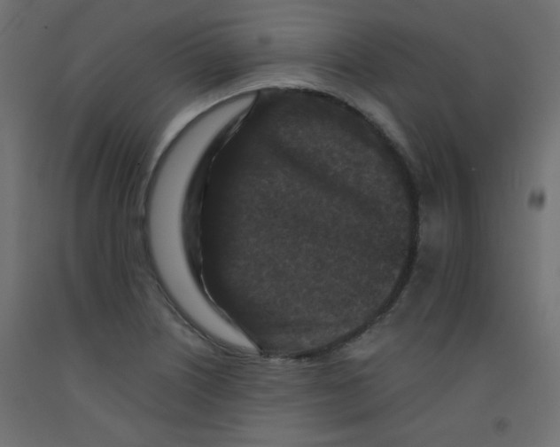 X0000092291226200710121427