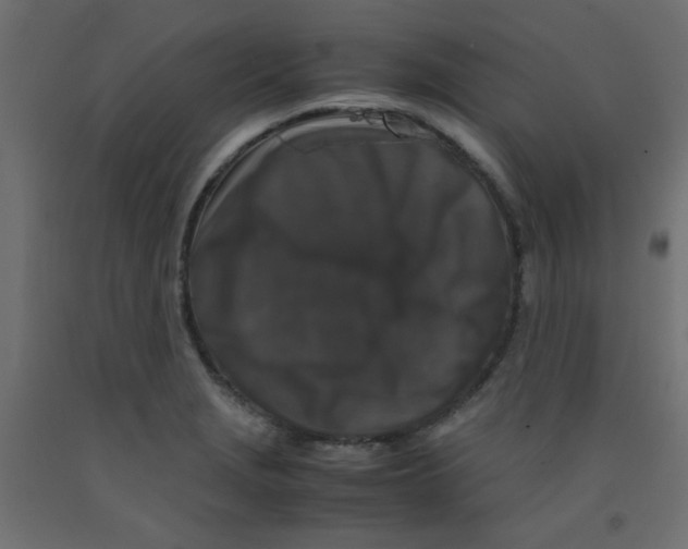 X0000092291229200710121427