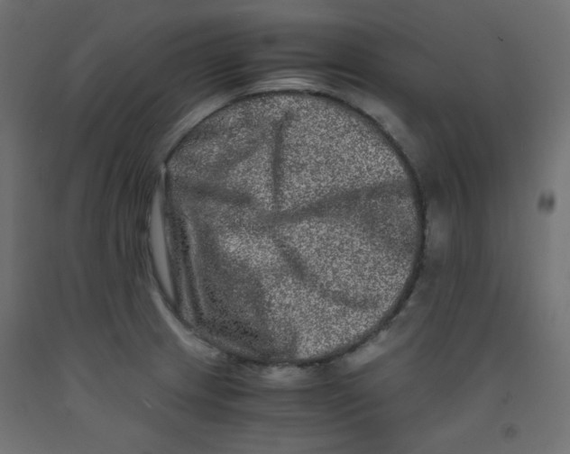 X0000092291233200710121427