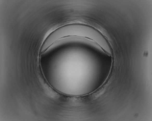 X0000092291234200710121427