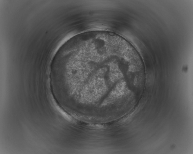 X0000092291235200710121427