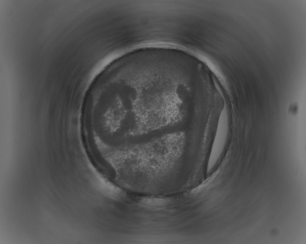 X0000092291237200710121427