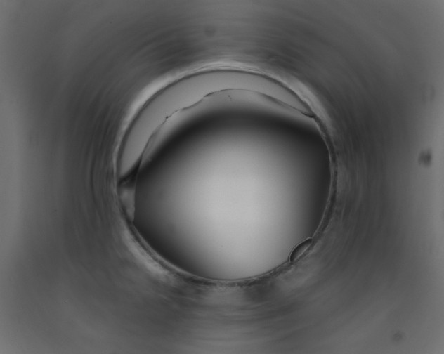 X0000092291238200710121427