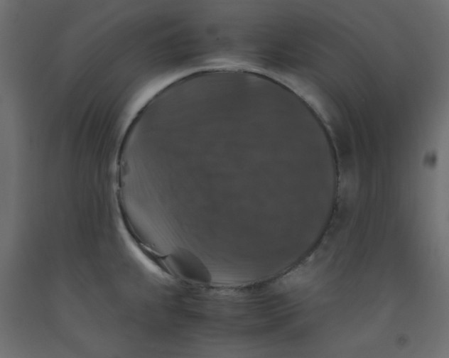 X0000092291239200710121427