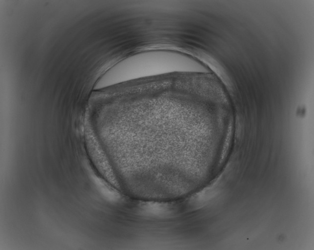 X0000092291241200710121427