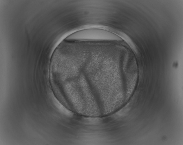 X0000092291244200710121427