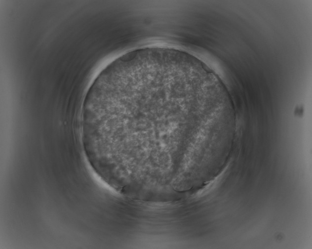 X0000092291247200710121427