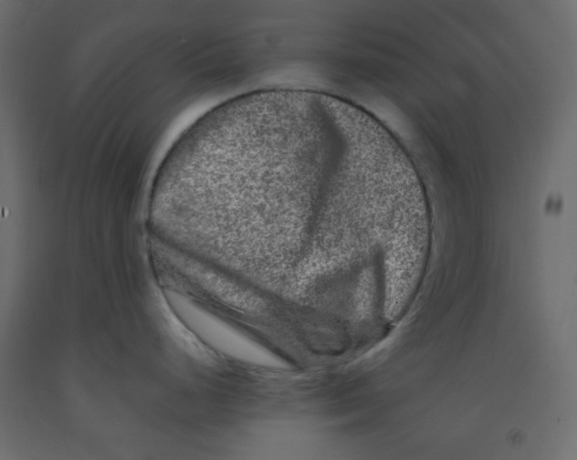 X0000092291248200710121427