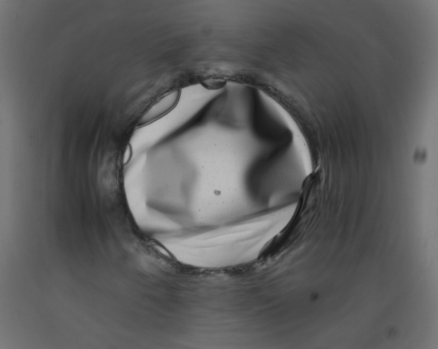 X0000092291250200710121427