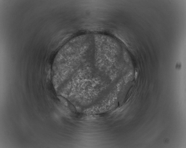 X0000092291251200710121427