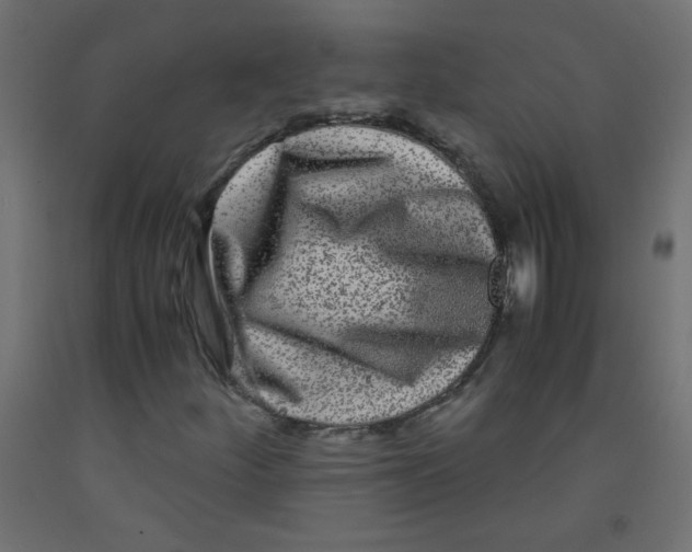 X0000092291252200710121427