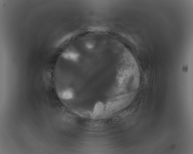 X0000092291254200710121427