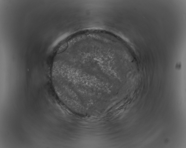 X0000092291255200710121427