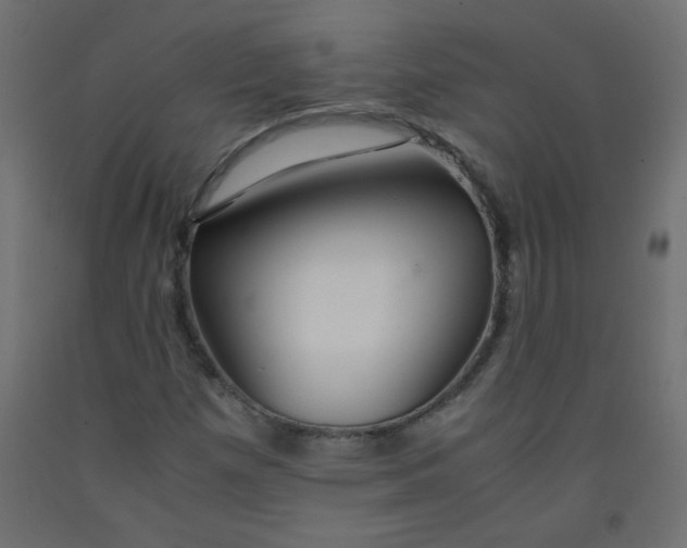 X0000092291257200710121427