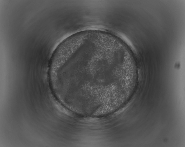 X0000092291260200710121427