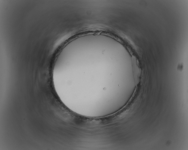 X0000092291261200710121427