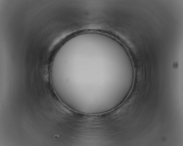 X0000092291262200710121427