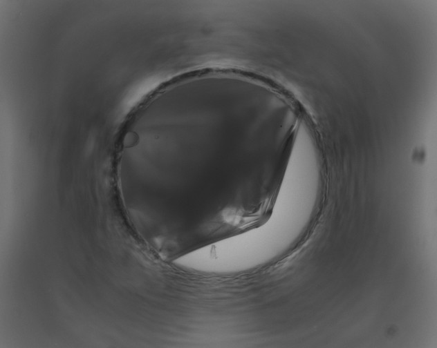 X0000092291263200710121427