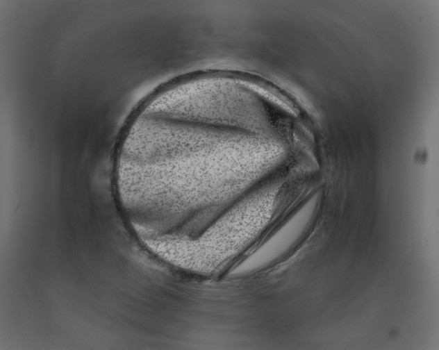 X0000092291264200710121427