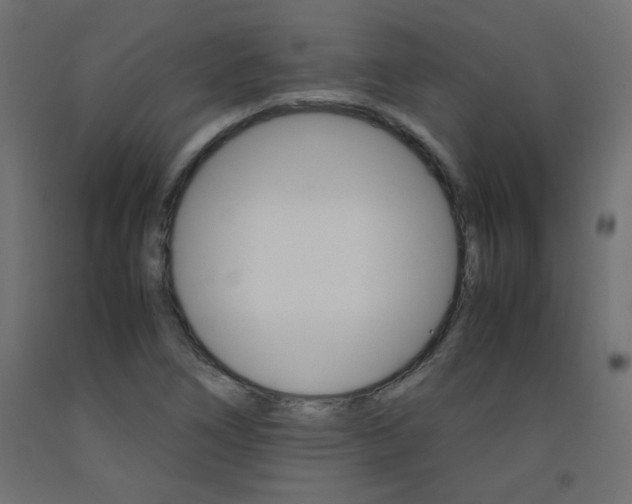 X0000092291266200710121427