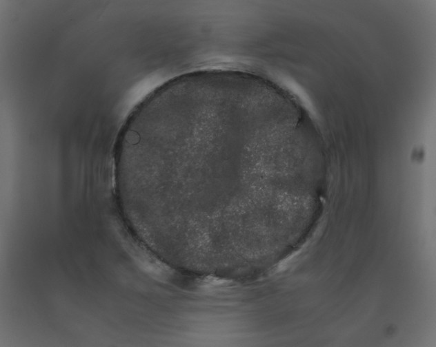 X0000092291267200710121427