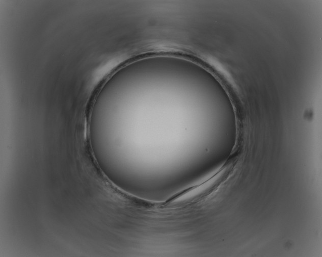 X0000092291269200710121427