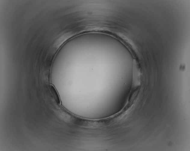 X0000092291273200710121427