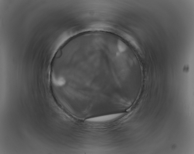 X0000092291275200710121427