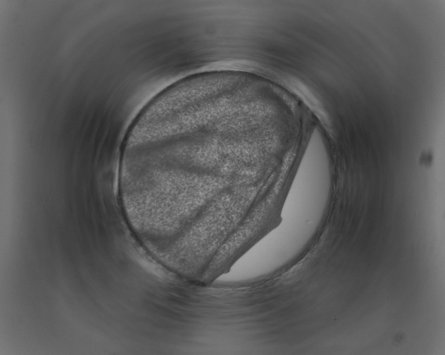 X0000092291276200710121426