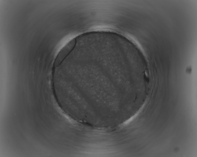 X0000092291277200710121426