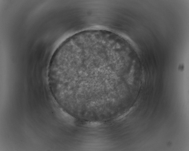 X0000092291278200710121426