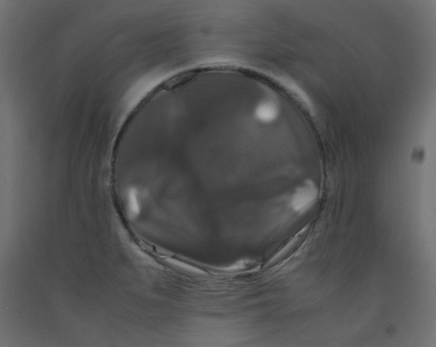 X0000092291279200710121426