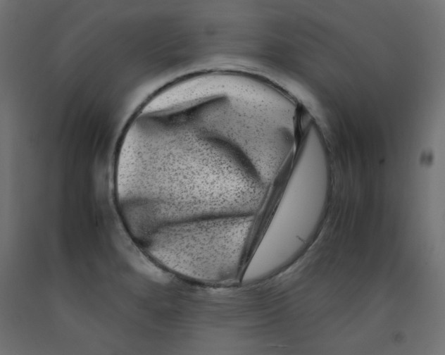 X0000092291280200710121426