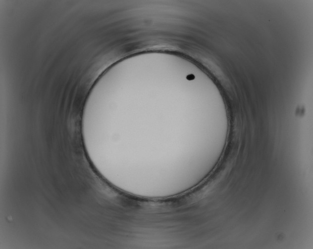 X0000092291281200710121426