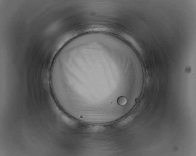 X0000092291282200710121426