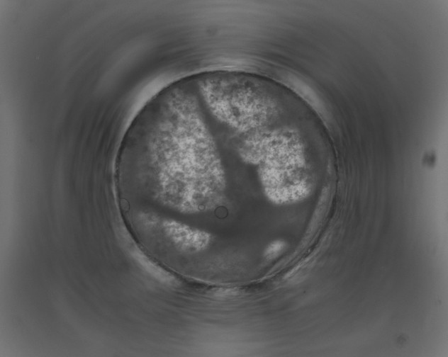 X0000092291283200710121426